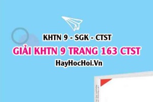 Giải KHTN 9 trang 163 Chân trời sáng tạo SGK
